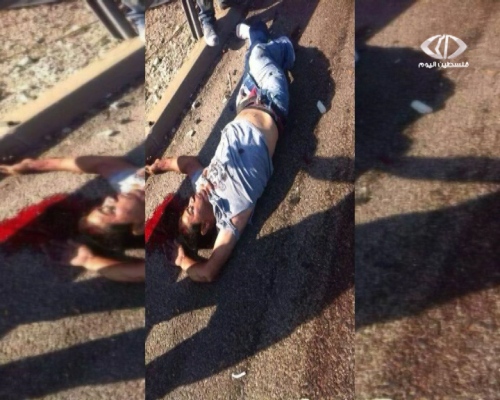 استشهاد عاملان فلسطينان بعد دهسهم من قبل مستوطن في مدينة حيفا