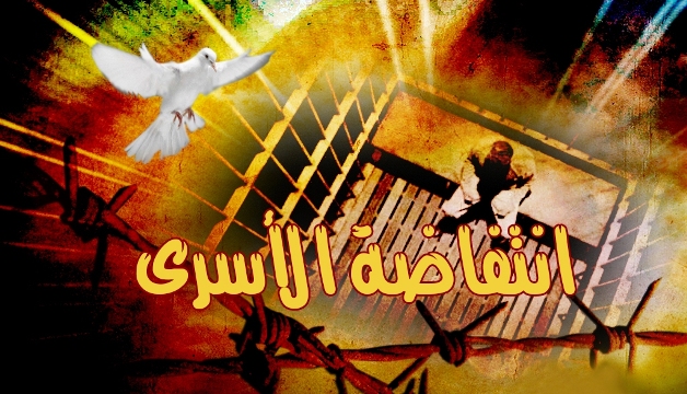 مزهر: الإضراب عن الطعام انتفاضة تصل إلى خارج المعتقلات