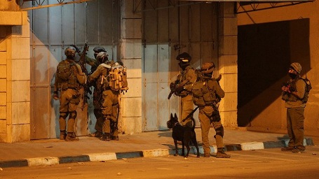 الاحتلال يعتقل 12 فلسطينيا من الضفة والقدس المحتلتين