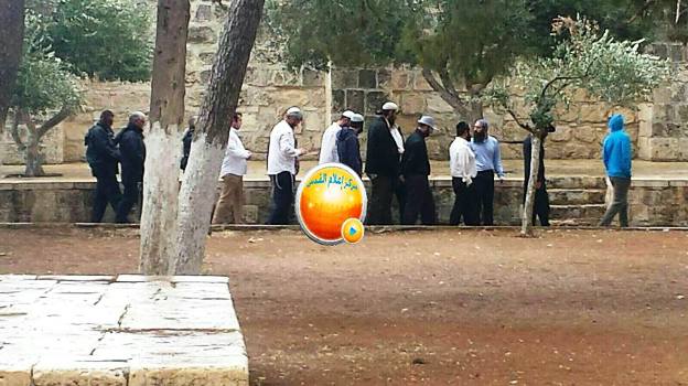 53 مستوطنا يقتحمون الاقصى من جهة باب المغاربة
