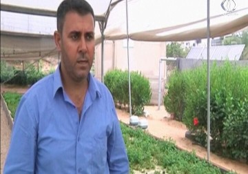 وزارة الزراعة في غزة تشجع المزارعين لاستخدام الزراعة المائية لكثرة فوائدها - زينب ابو ضاهر -2016-08-17