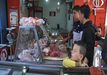 تقرير| قطاع اللحوم والمجمدات يتعرض للانهيار بسبب أزمة الكهرباء - أكرم دلول