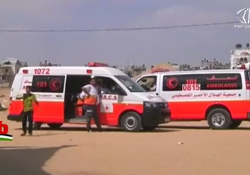 تقرير| العفو الدولية تدعو المحكمة الجنائية إلى فتح تحقيق في استخدام الاحتلال القوة - فاتن الصالح ‏.mp4