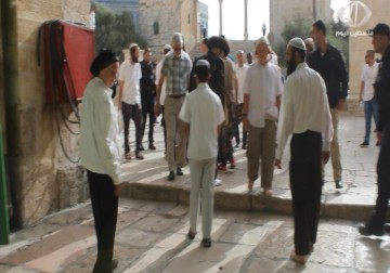 اشتباكات بالأيدي إثر اقتحام عشرات المستوطنين الأقصى ومحاولتهم أداء طقوس تلمودية - ليال خروبي - 25 - 4 - 2016