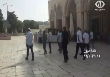 عشرات المستوطنين  يقتحمون باحات المسجد الأقصى بحماية من شرطة الاحتلال- 12-10-2015 - هدى حسين