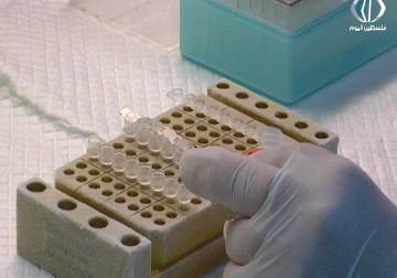 دراسات عالمية: إرتفاع ملحوظ في عدد الوفيات بسبب الاستخدام الخاطئ للمضادات الحيوية - رغدة عتمة - 30 - 9 - 2016