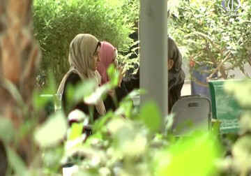 وزارة التربية في غزة ترفض القرار وتصفه بغير المهني - زينب أبو ضاهر - 9 - 8 - 2016