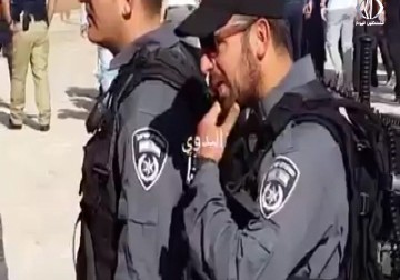 جولات استفزازية للمستوطنين في المسجد الأقصى بذريعة عيد 