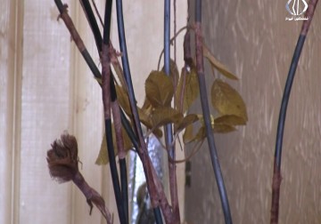 الأسير المحرر اياد ابو خضير يطالب بحياة لائقة بعد تنكر ذوي القرار لمعاناته - رمزي أبو جزر - 13 - 4 - 2016