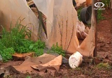 العاصفة تلحق أضرارا وخسائر بالملايين في القطاع الزراعي - 11 - 1 - 2015 - نورا المشهراوي