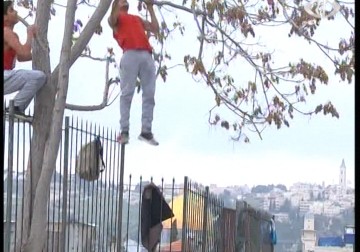 فريق رياضي  يمارس رياضة  الباركور داخل البلدة القديمة في القدس – 10 – 2 – 2015 - صابرين صيام