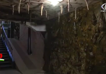 تقرير| معرض تسويقي في القطاع يحاكي في تصميمه الكهوف القديمة 