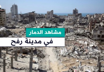 مراسل فلسطين اليوم إبراهيم إبراهيم يرصد صورة الدمار في مدينة #رفح جنوبي قطاع غزة عقب تنفيذ وقف إطلاق النار