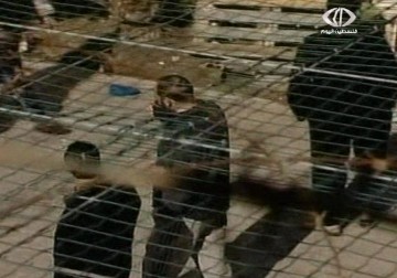 الاحتلال يواصل الضغط على الأسير ثائر نبيل عبده للتراجع عن الإضراب - 3 - 1 - 2014 - حسن عارفة 