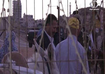 موسم قطف الزيتون... متنفس يستغله أهالي بيتونيا لزيارة أراضيهم خلف جدار الفصل العنصري – جهاد بركات