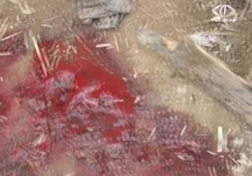 شهيد ... في قصف صهيوني والفصائل تحمل الاحتلال المسؤولية - 24 - 12 - 2014 - رمزي أبو جزر