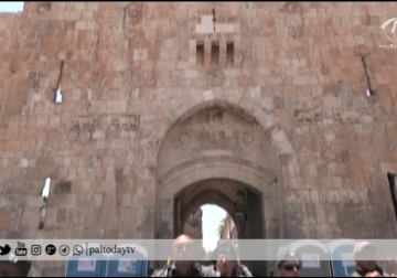 تقرير | معركة لا تنتهي مع الاحتلال في الذكرى الأولى لمعركة البوابات الإلكترونية