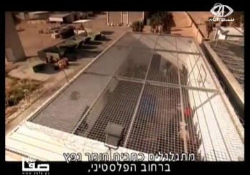 الاهمال الطبي يستفحل في سجون الاحتلال – 23 – 12 – 2014