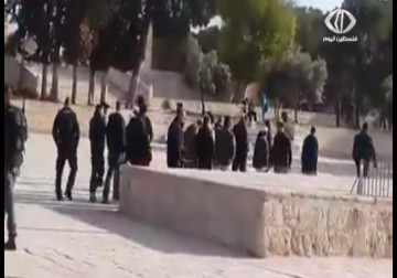 مستوطنون يقتحمون المسجد الأقصى المبارك من باب المغاربة للإحتفال بما يسمى عيد الاستقلال – 23 – 4 – 2015 – هادي خزعل