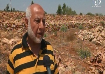 الاحتلال يقطِّع 500 شجرة زيتون في اسكاكا شرق سلفيت - أمون الشيخ - 10 - 8 - 2016