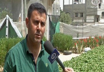 الزراعة المائية العضوية طريقة جديدة توفر استخدام كمية المياه بنسبة 90%  - رمزي البيروتي - 3 - 5 - 2016