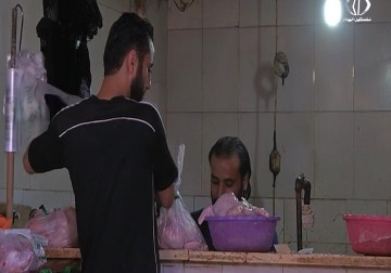 استمرار ارتفاع أسعار اللحوم البيضاء في غزة مع اقتراب شهر رمضان - رمزي البيروتي - 31 - 5 - 2016