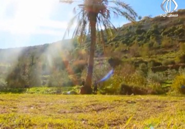 محمية وادي قانا في دير استيا أكبر محمية طبيعية في فلسطين - فاتن الصالح 