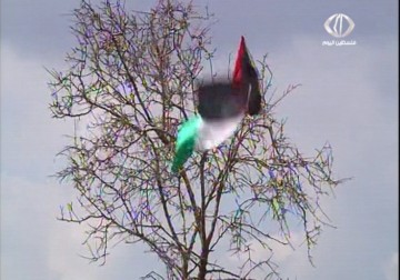 أهالي قريوت جنوب نابلس يحيون ذكرى استشهاد راشيل كوري بغرس أشتال الزيتون – 15 – 3 – 2015 - مراد أبو عمر