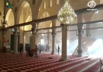 إصابات بجروح وحالات اختناق خلال اقتحام شرطة الاحتلال المسجد الأقصى لليوم الثاني على التوالي – 14 – 09 – 2015 – زينب هاشم