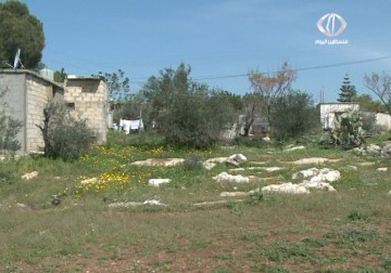 أوتستراد سيمر في تجمع  شبريحا الواقع جنوب لبنان بهدد استقرار العائلات الفلسطينية  - 18 – 3 – 2015 – مريم الحاج موسى