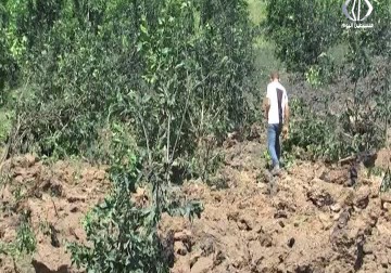 أكثر من 60 غارة وقذيفة استهدفت أراض زراعية ومواقع عدة للمقاومة - أكرم دلول - 22 - 8 - 2016