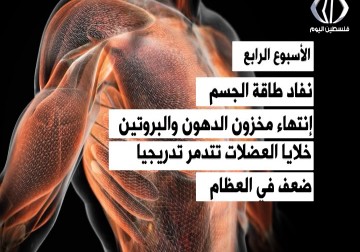 تقرير| على أعتاب الأسبوع الثالث.. تضحيات جسام يقدمها الأسرى في إضرابهم عن الطعام