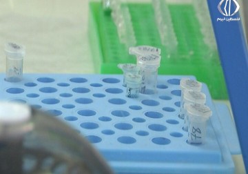 الاحتلال يمنع اطباء وعاملين في المؤسسات الدولية من الوصول لاماكن عملهم بالقدس - رمزي البيروتي - 2 - 4 - 2017