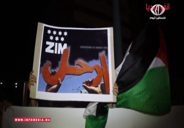 وقفة احتجاجية اليوم لطرد شركة الملاحة البحرية الإسرائيلية زيم – 17 – 4 – 2015 – زينب هاشم