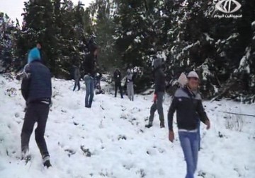 المنخفض الجوي في محافظات الضفة الغربية يتسبب بنفوق آلاف الطيور والدجاج – 20 – 2 – 2015 – مراد أبو عمر