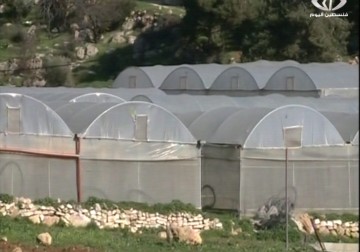 بلدية دورا في الخليل تستقبل المنخفض الجديد بإنشاء كاسحة ثلوح مصنوعة محليا  - 5 - 1 - 2015 - فداء نصر