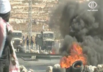 هآرتس: عمليات القتل والتسلح داخل إسرائيل تشكلان خطرا أكبر من عمليات الطعن - 26 - 10 - 2015 - زينب هاشم