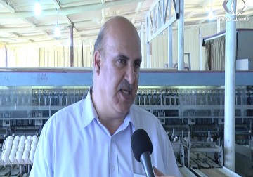 المزارعون يطالبون بأن يصبح كل البيضِ الفلسطيني المسوّق مختوماً - رغدة عتمة - 6 - 4 - 2017