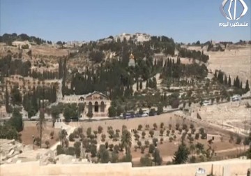 الكشف عن مخطط استيطاني جديد في جبل الزيتون - فاطمة عبد الجواد - 25 - 2 - 2017