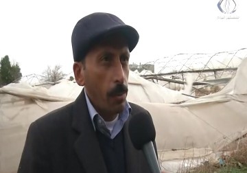 المزارعون يتكبدون خسائر مالية خلال نتيجة المنخفض - مريم الحاج موسى - 15 - 12 - 2016