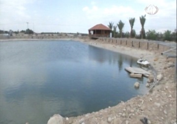 إنشاء مزرعة أسماك في أريحا لتلبية حاجة المزارعين من بعض أنواع الاسمدة - 14 – 4 – 2015 – جهاد بركات