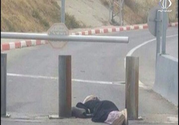 سوسن منصور ..قصّة طالبت حازت لقب الشهيدة بدلاً من لقب الجامعيّة - فاطمة إبراهيم - 27 - 5 - 2016