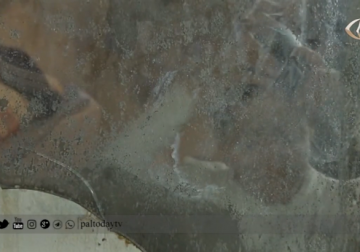 تقرير | واقع صعب تعيشه عائلة فلسطينية نازحة من اليرموك بسبب النزوح والمرض