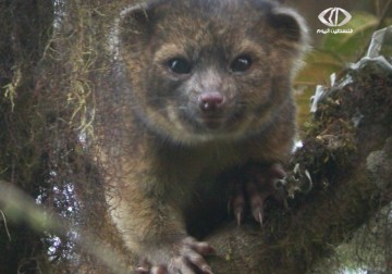 اكتشافات العلماء في عام ألفين وثلاثة عشر - 1 - 1 - 2014 - زينب جمول