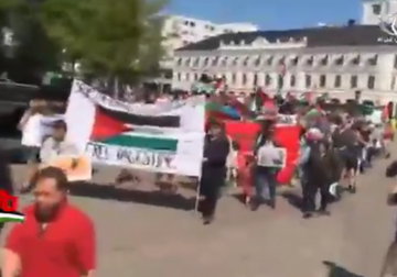 تقرير| مسيرة حاشدة في مدينة مالمو السويدية تدعو لمقاطعة الاحتلال - مريم الخليل ‏.mp4