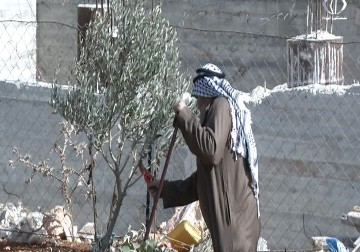 الاحتلال يخطر 9 منازل بالهدم في قرية المغير شمال شرق رام الله بحجة عدم الترخيص - جهاد بركات - 17 - 11 - 2016