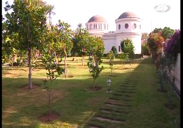 مئات آلاف المسيحيين يزورون شجرة  الجميزة المقدسة  وسط  أريحا  كل عام – 16 – 12 – 2014 - مراد أبو عمر