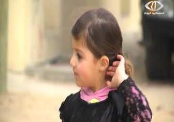 خبراء علوم الارض والبيئة ينفون امكانية حدوث تسونامي بحري على ساحل قطاع غزة - اكرم دلول - 12 - 4 - 2016