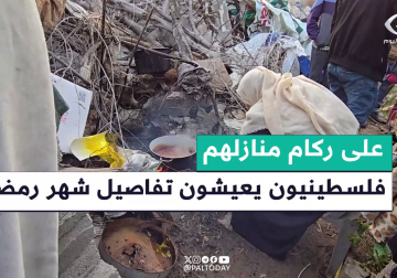 أسر فلسطينية في غزة تصر على الإقامة بجانب منازلها المدمرة