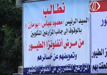 منذ عام ونصف ... مربوا الدواجن ينتظرون صرف تعويضات انفلونزا الطيور - رمزي أبو جزر - 28 - 2 - 2017